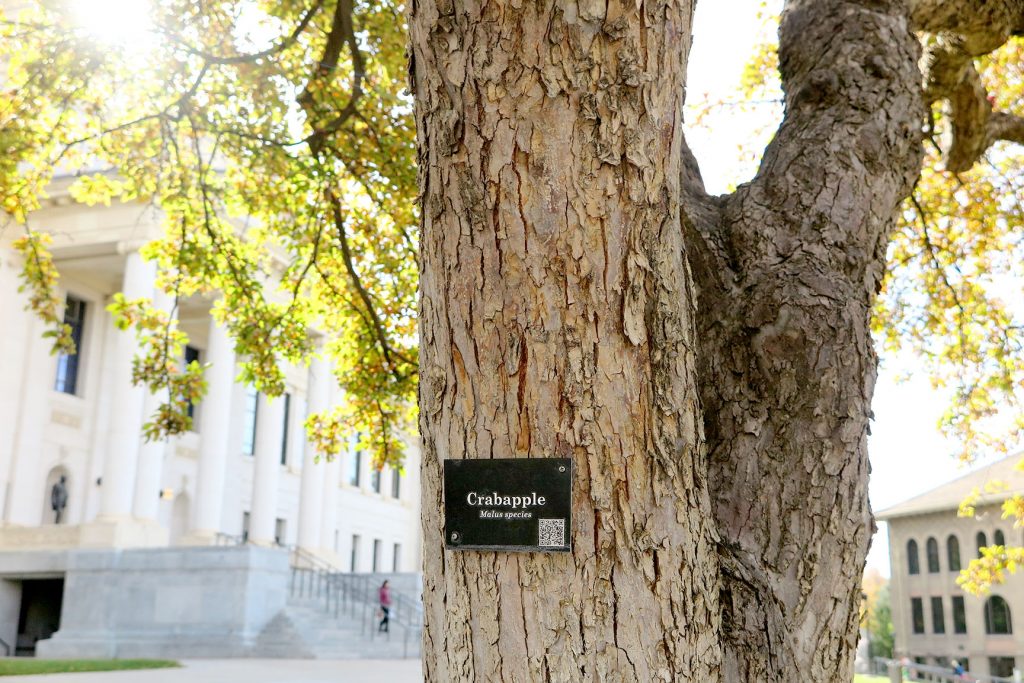 An educational sign on a tree in President's Circle at the University of Utah.