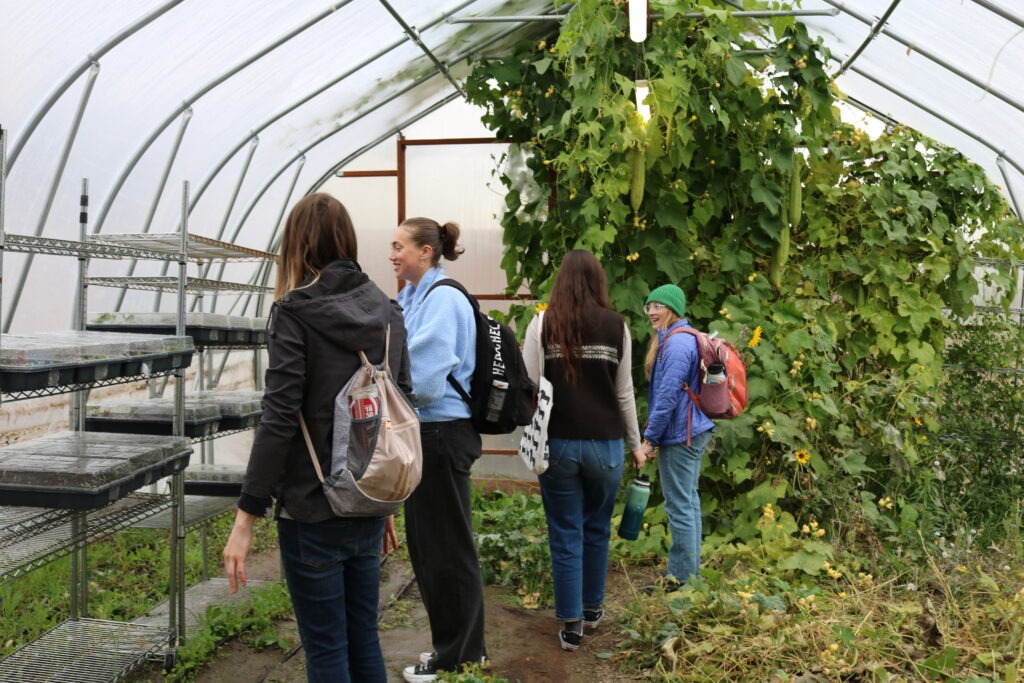Four students stand inside a greenhouse that has a few shelves of seedlings in plastic containers.